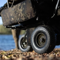 Carp Porter Trident Barrow